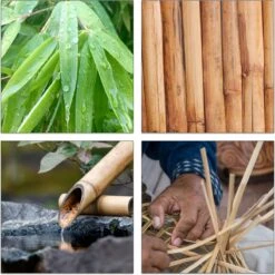 Relaxdays Theedoos 5 Vaks - Theekist - Theezakjeshouder - Bamboe - Voor Ca. 10 Theezakjes -LAVAZZA Winkel 1200x1200 534