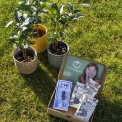 T-Sac Theefilters No.1 -LAVAZZA Winkel 1200x1200 585