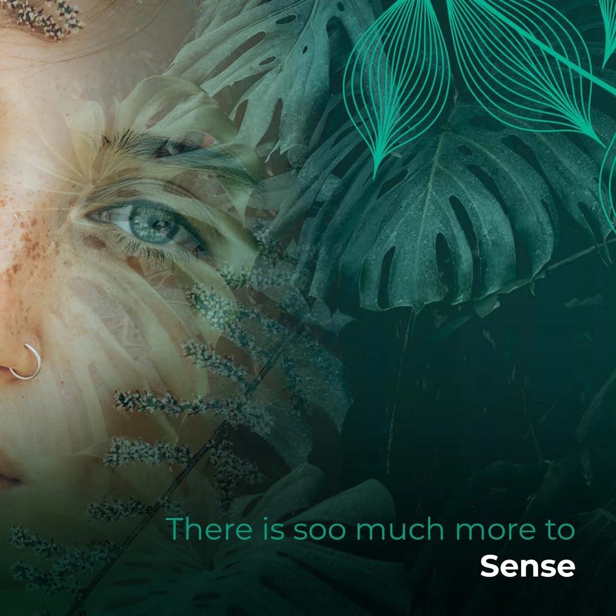 Soolong Sense Oost Timor Nr1000 Koffiebonen Smooth Lacau - Speciality koffie Arabica medium roast met rijke kruidige smaak met heerlijke ondertonen van Karamel - Zak 250gram Soolong Sense Oost Timor Nr1000 Koffiebonen Smooth Lacau - Speciality Koffie Arabica Medium Roast Met Rijke Kruidige Smaak Met Heerlijke Ondertonen Van Karamel - Zak 250gram -LAVAZZA Winkel 1200x1200 785