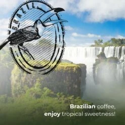 Soolong Enjoy Brazilie Nr4000 Koffiebonen Topacio Lungo - Speciality Koffie Arabica Medium Roast, Light Body Met Een Verfijnde Zacht Zoete Smaak. - Zak 250gram 6 Soolong Enjoy Brazilie Nr4000 Koffiebonen Topacio Lungo - Speciality Koffie Arabica Medium Roast, Light Body Met Een Verfijnde Zacht Zoete Smaak. - Zak 250gram -LAVAZZA Winkel 1200x1200 824