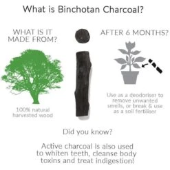 Black + Blum Binchotan Active Charcoal For Eau Good Water Bottles 4-pack -LAVAZZA Winkel 1200x1200 93