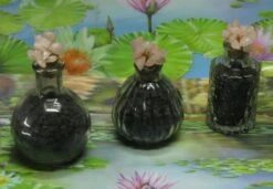 1000g Shungiet Shungite Stenen Voor Water En Ontstoring -LAVAZZA Winkel 1200x832