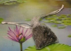 1000g Shungiet Shungite Stenen Voor Water En Ontstoring -LAVAZZA Winkel 1200x853