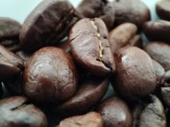 Voordeelpakket: Den Leeuw Lungo (80 Koffiecups) - Roast Koffiecups - Echte Hollandsche Koffie Van Den Leeuw In Nespresso Cups - Nespresso Compatibele Koffie Cups -LAVAZZA Winkel 1200x900 22