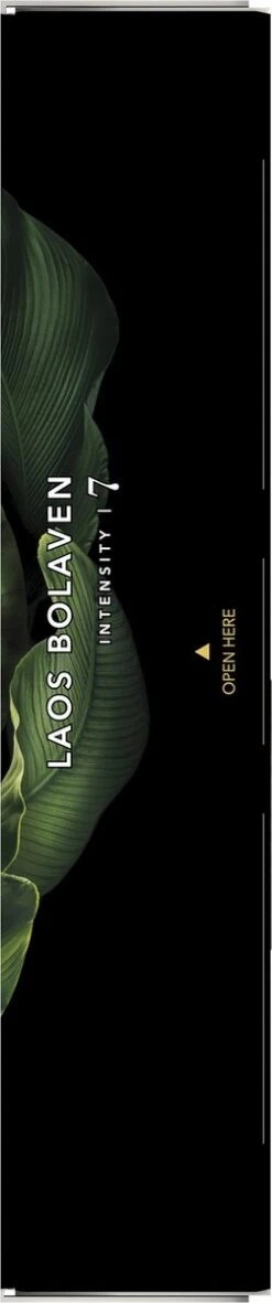 L'OR Espresso Limited Creations Laos Bolaven Koffiecups - Intensiteit 7/12 - 10 X 10 Capsules 4 L'OR Espresso Limited Creations Laos Bolaven Koffiecups - Intensiteit 7/12 - 10 X 10 Capsules -LAVAZZA Winkel 251x1200 8