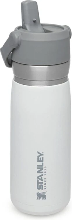 Stanley The IceFlow™ Flip Straw Water Bottle 0,65L - Thermosfles - Charcoal -LAVAZZA Winkel 396x1200 4