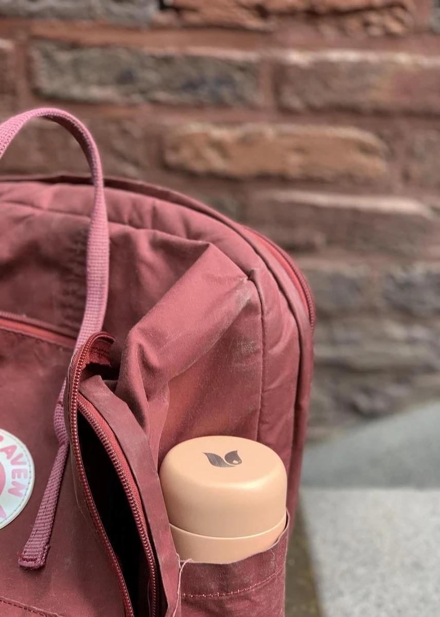 Retulp - Tumbler Thermosbeker – Champagne Pink – 300 ml - Thermosfles - Roze Retulp - Tumbler Thermosbeker – Champagne Pink – 300 Ml - Thermosfles - Roze -LAVAZZA Winkel